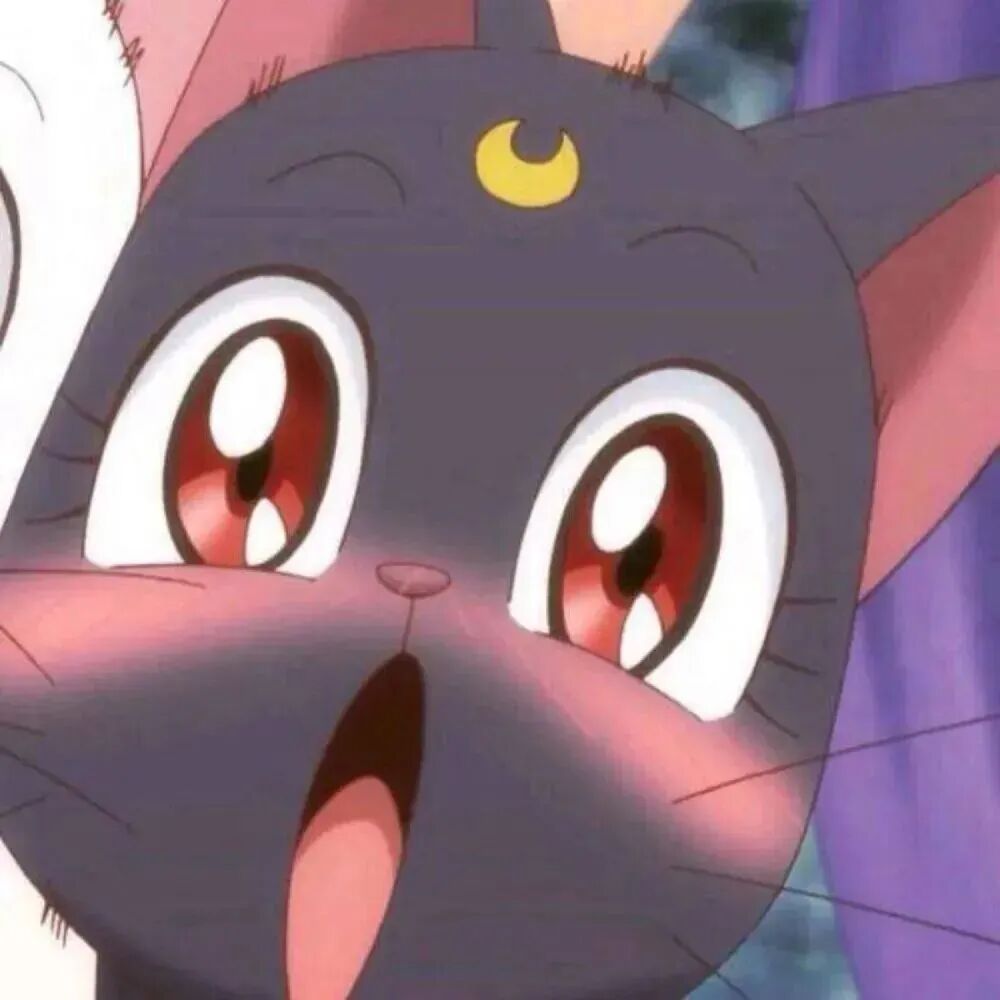 komshaonvmacatqixi可爱美少女战士猫咪动漫情侣头像