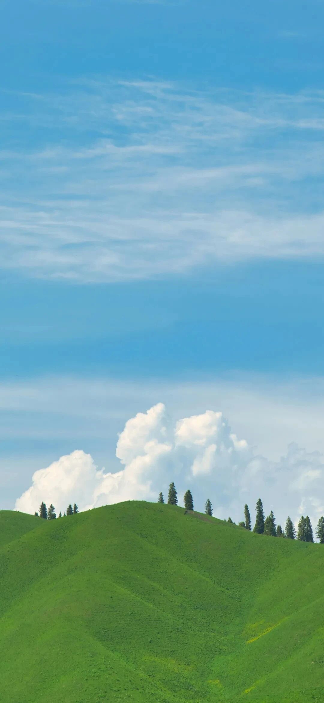 风景
