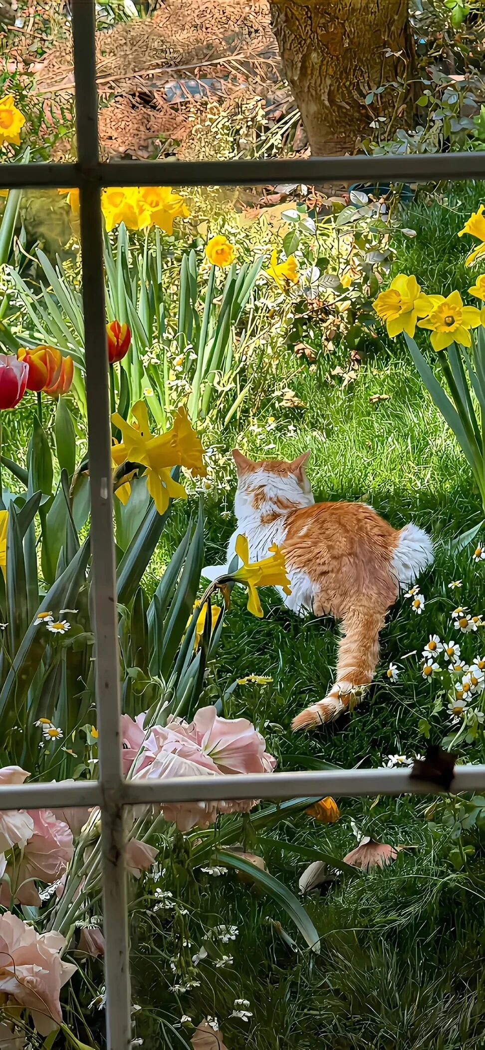 风景