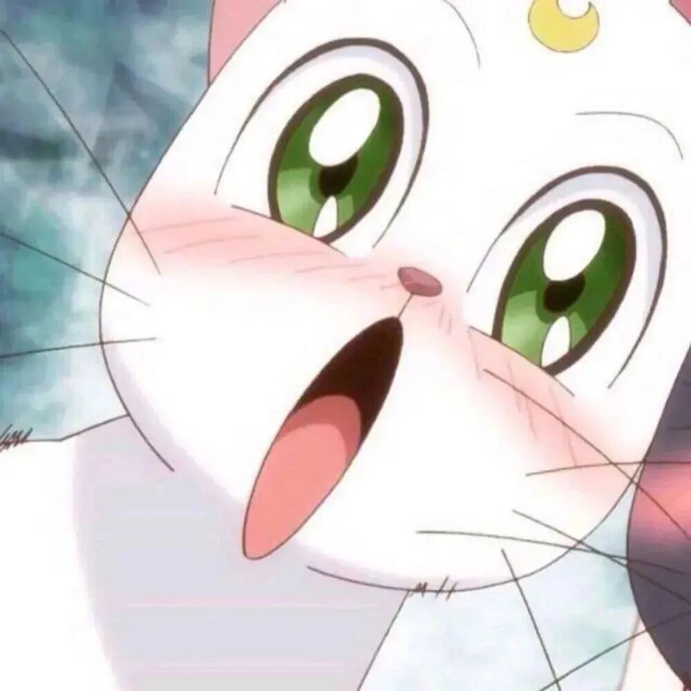 komshaonvmacatqixi可爱美少女战士猫咪动漫情侣头像
