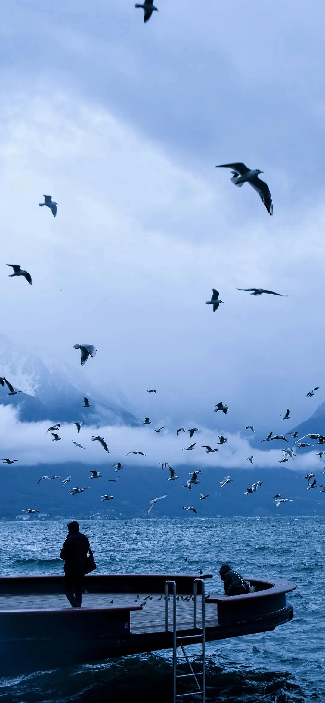 风景