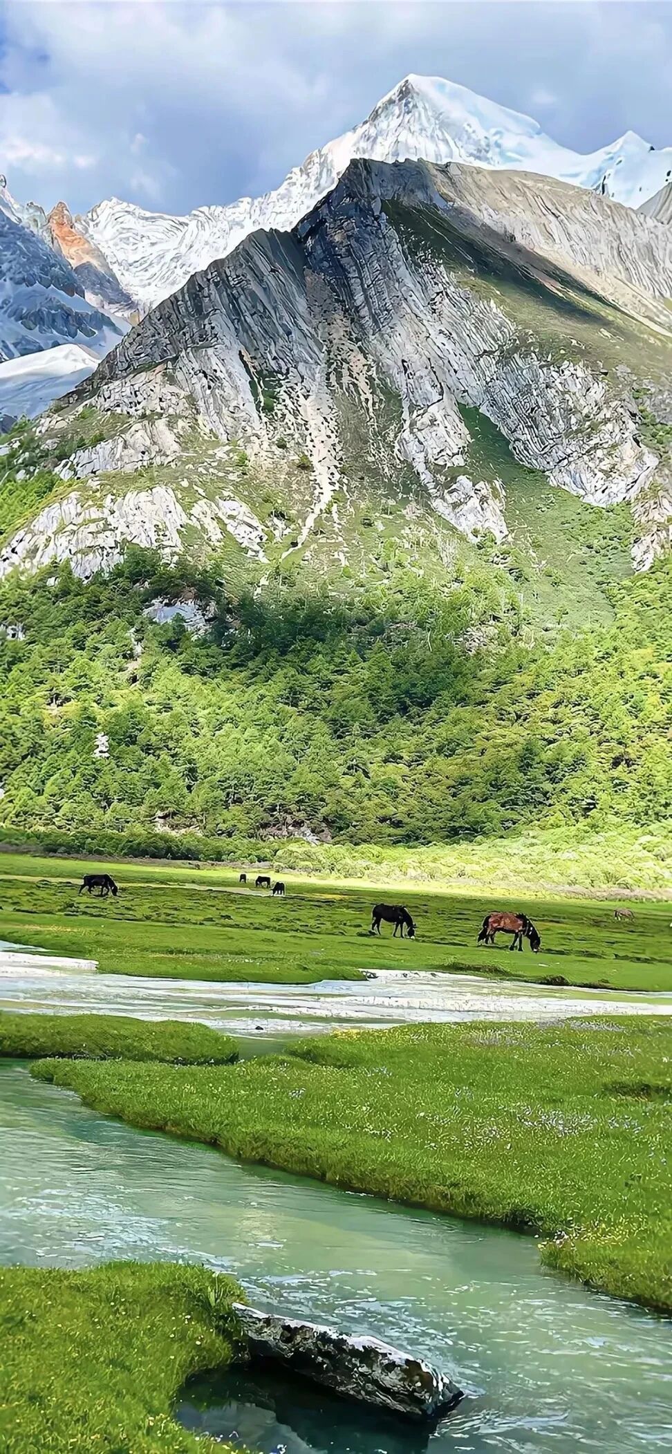 风景