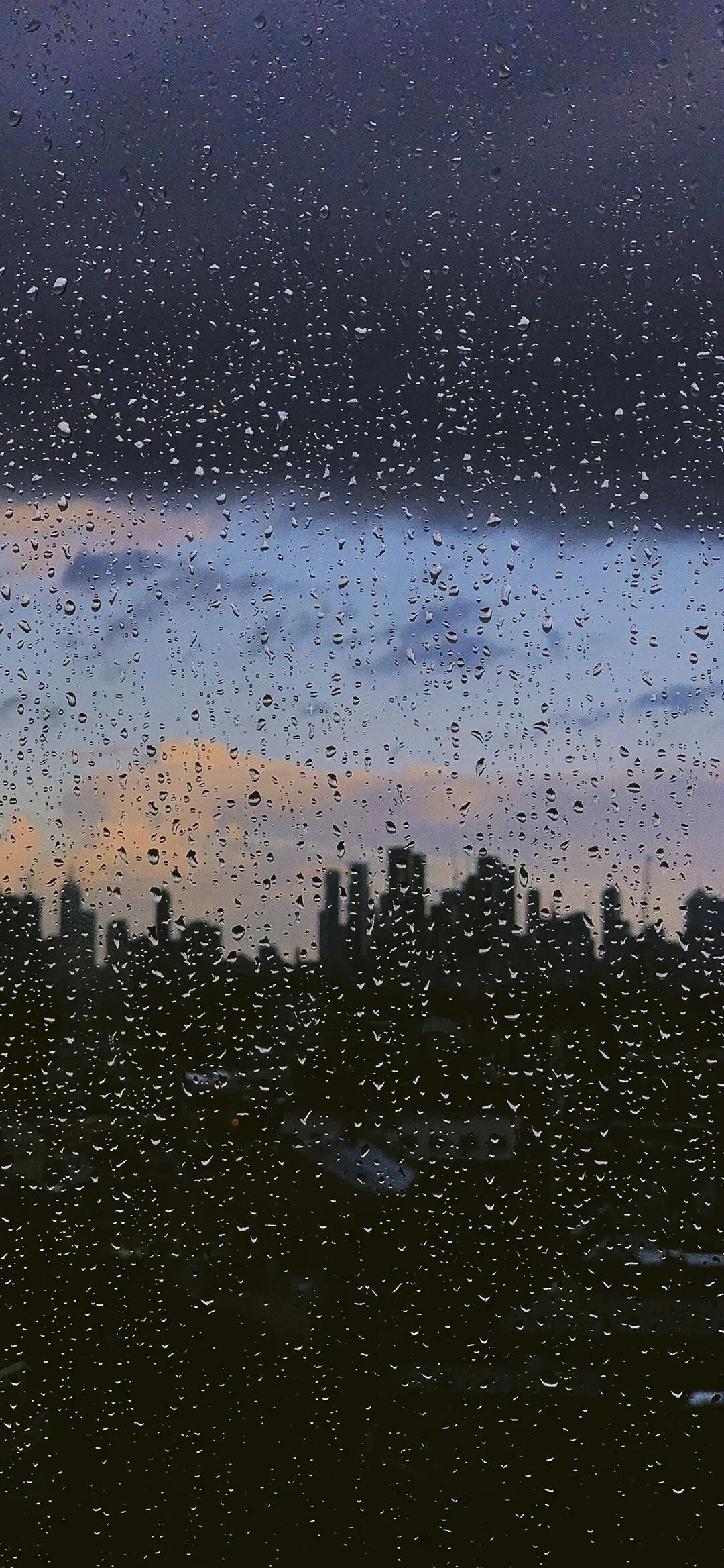 风景
