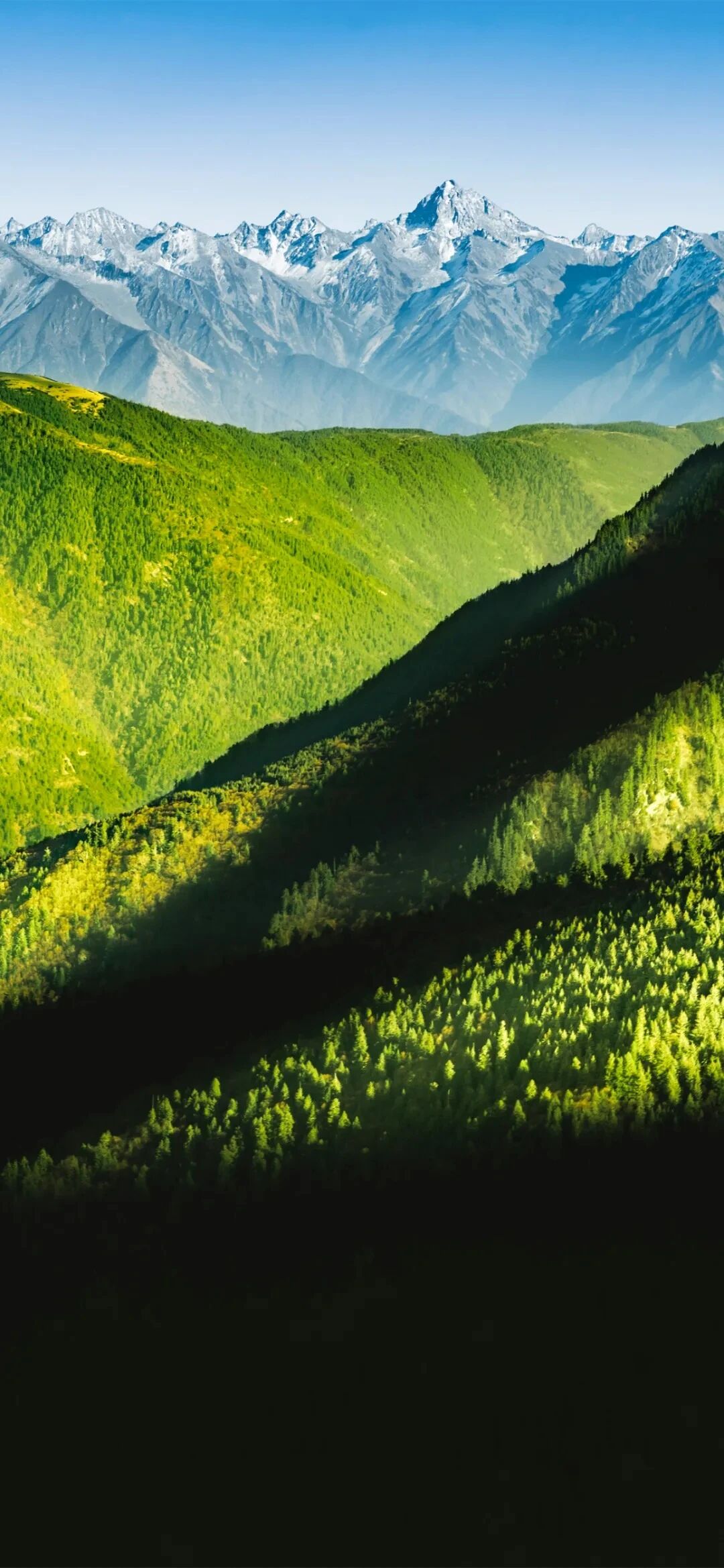 风景