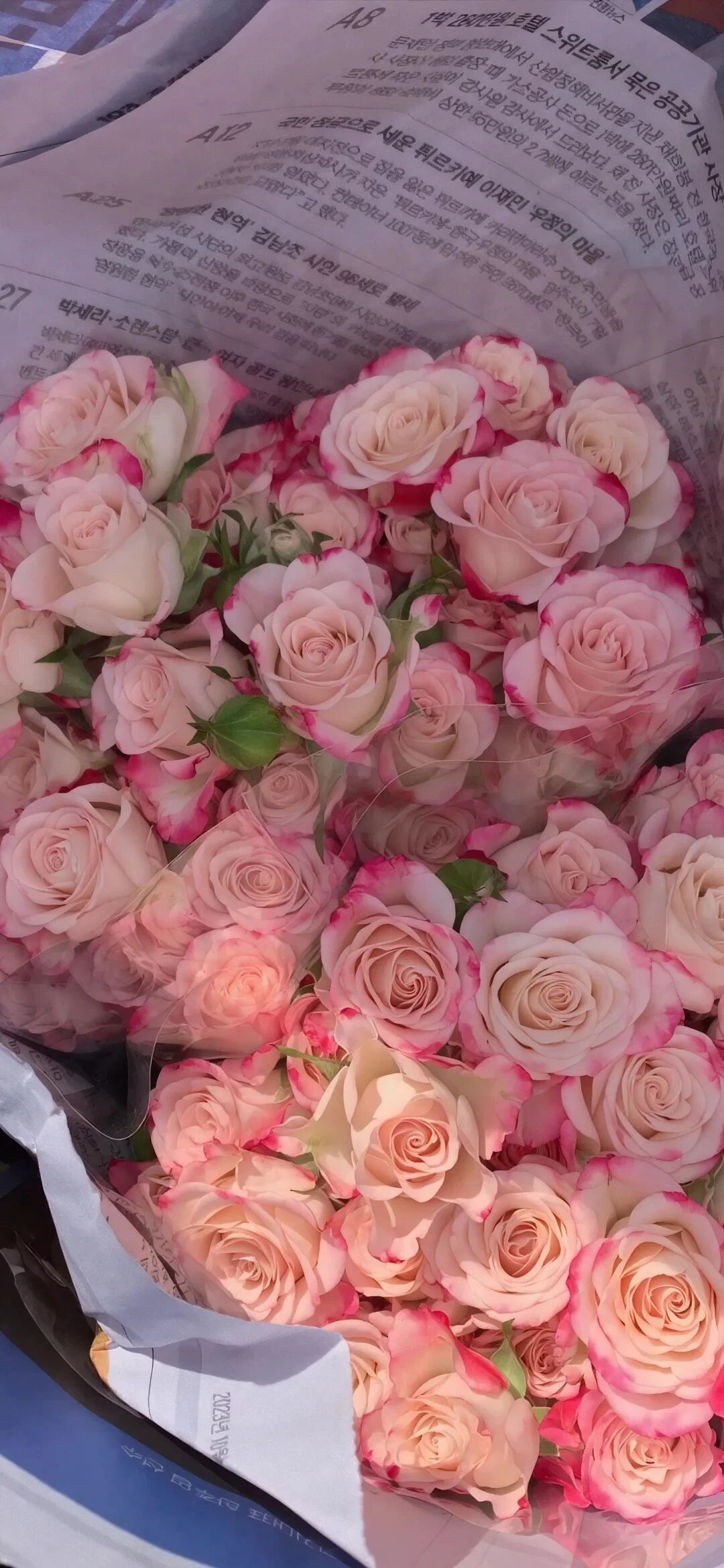 什锦