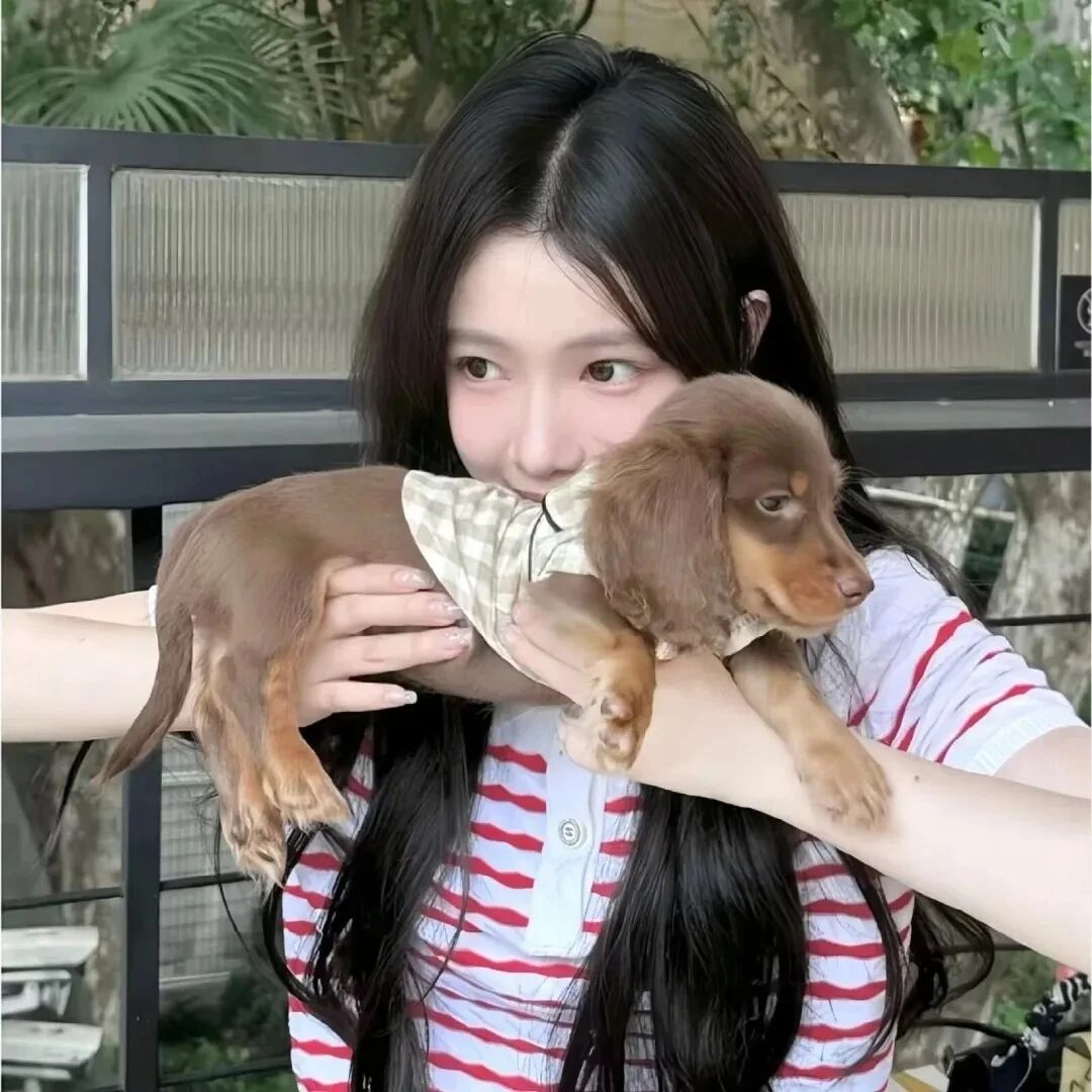 抱着狗狗甜妹女生头像