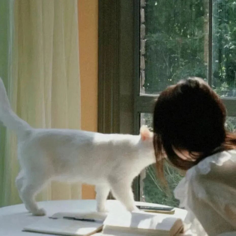 猫咪小清新不露脸女生头像