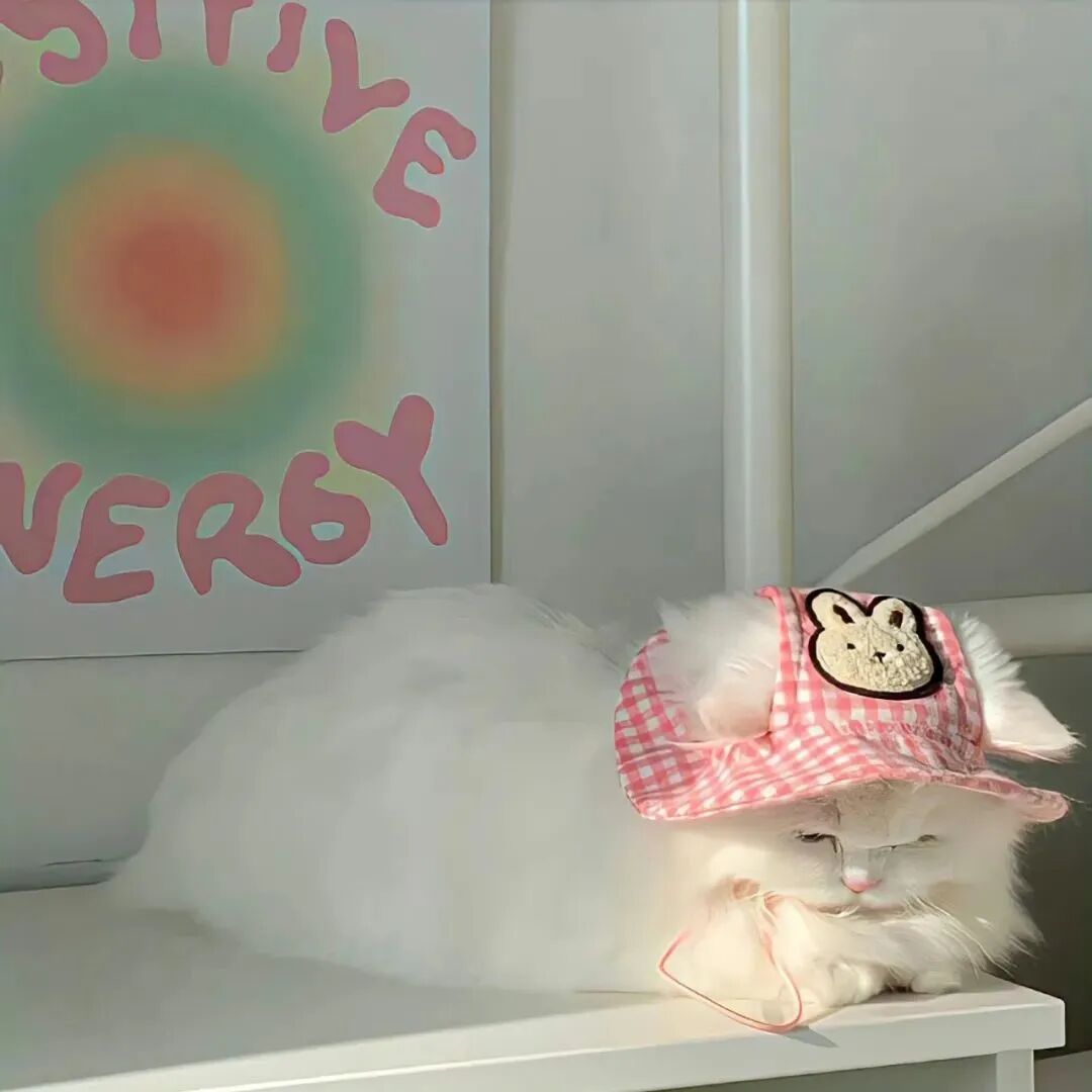 猫咪萌宠头像