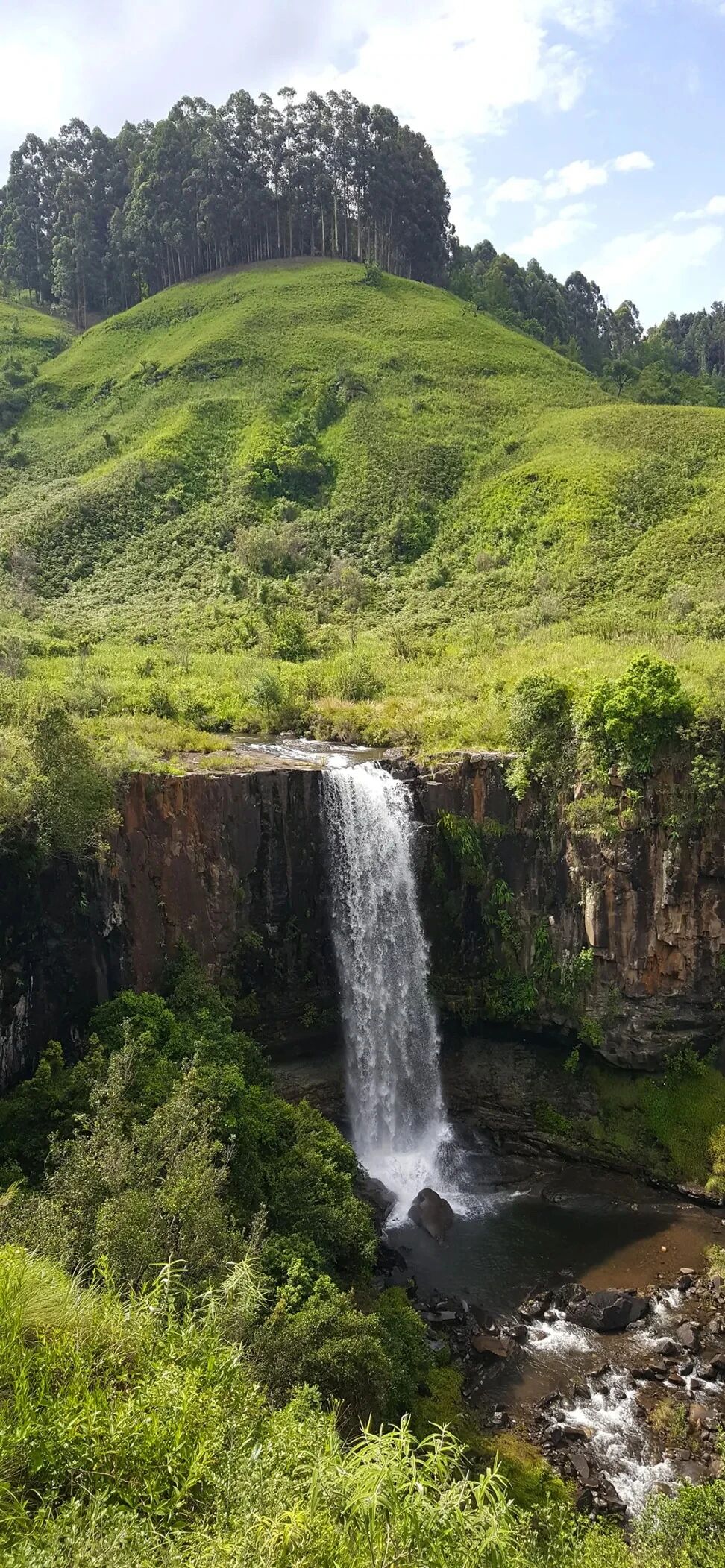 风景