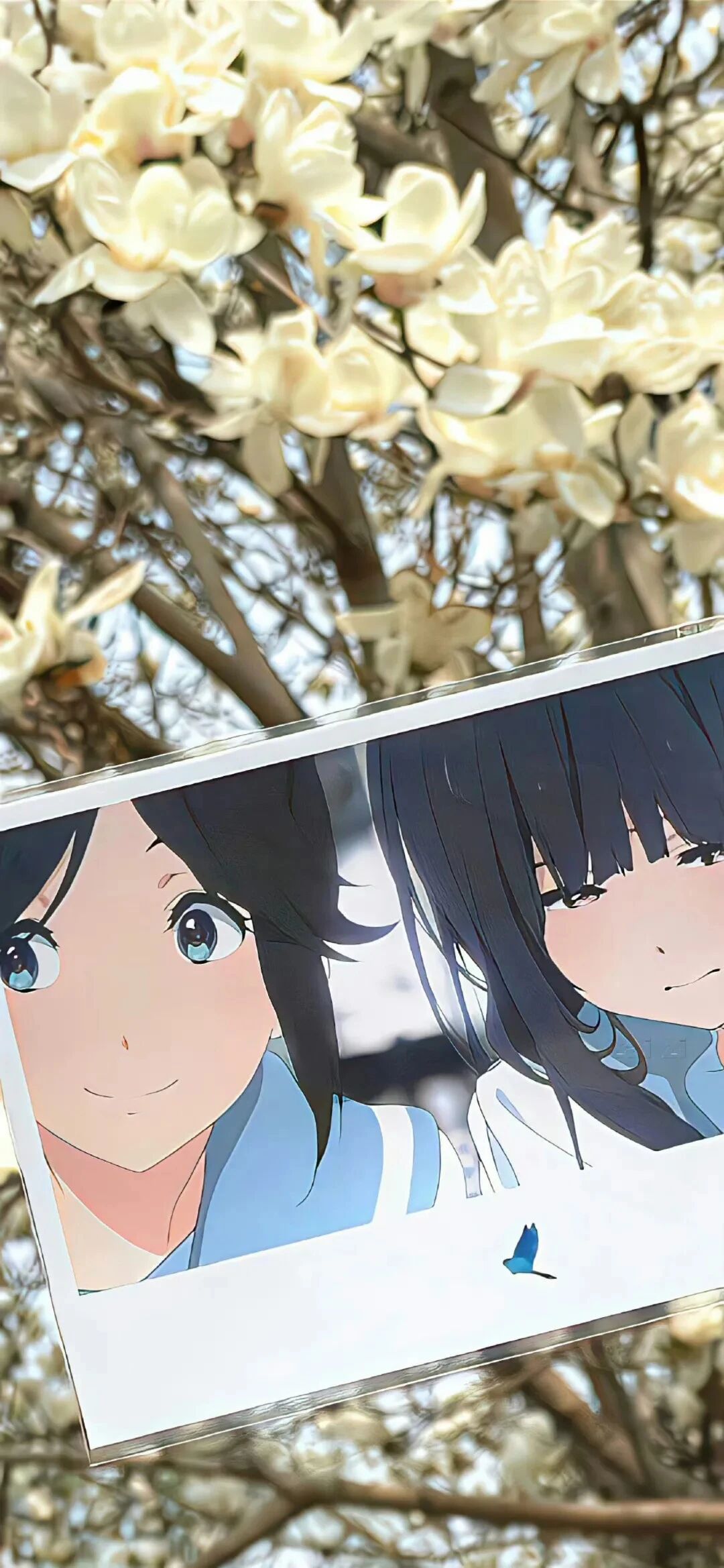 动漫