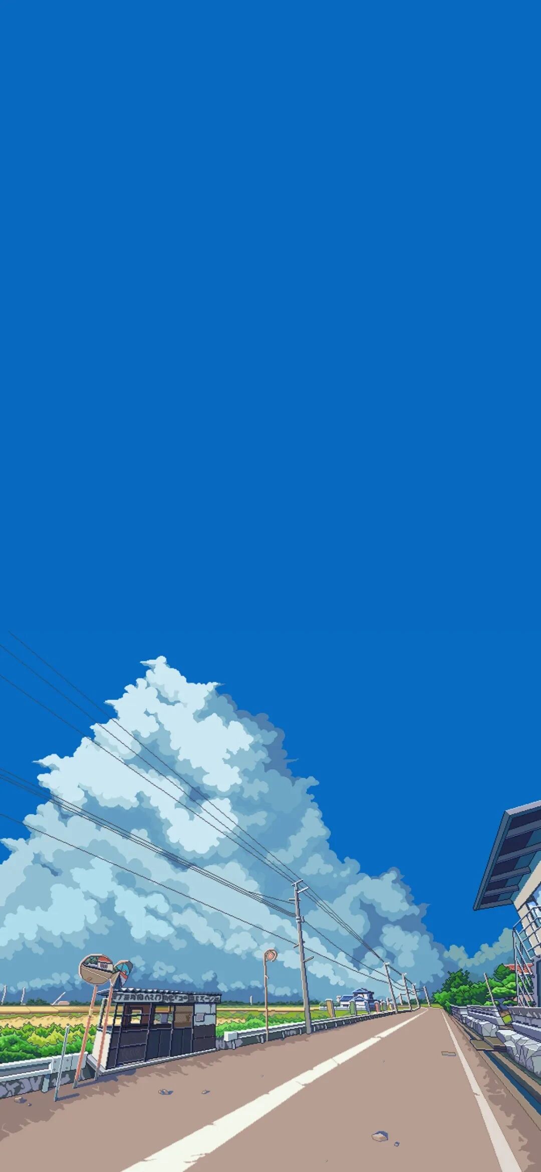 风景