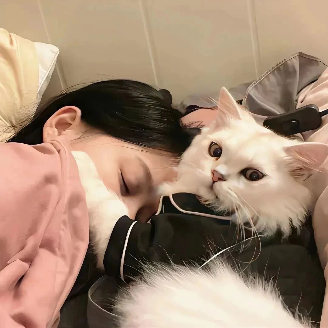 抱着猫咪甜妹女生头像