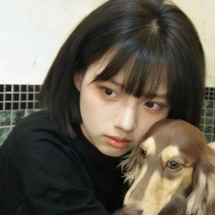 抱着狗狗甜妹女生头像
