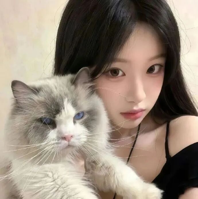 抱着猫咪温柔女生头像