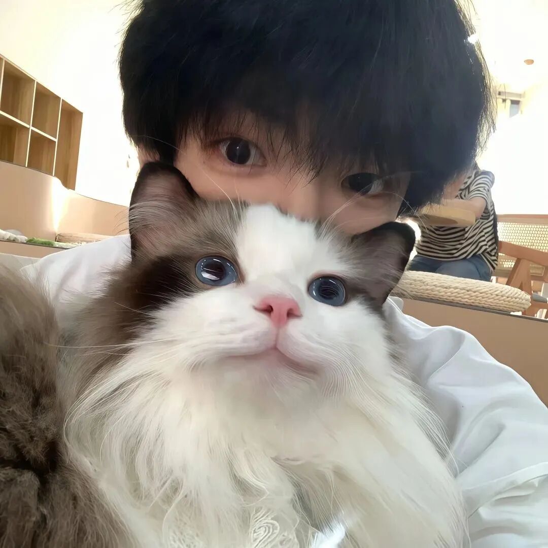 抱着猫咪小众男生头像