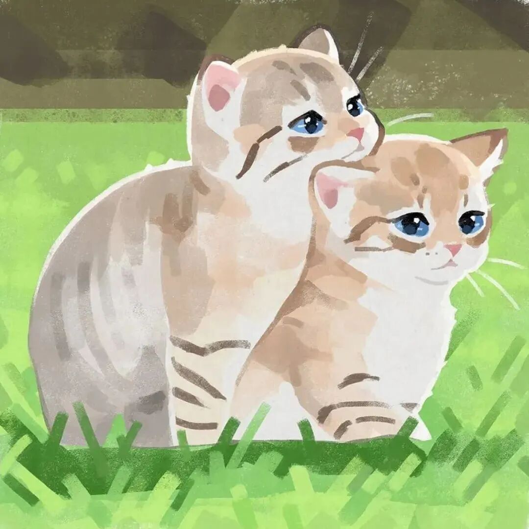 萌宠 萌宠头像 宠物  猫 可爱头像