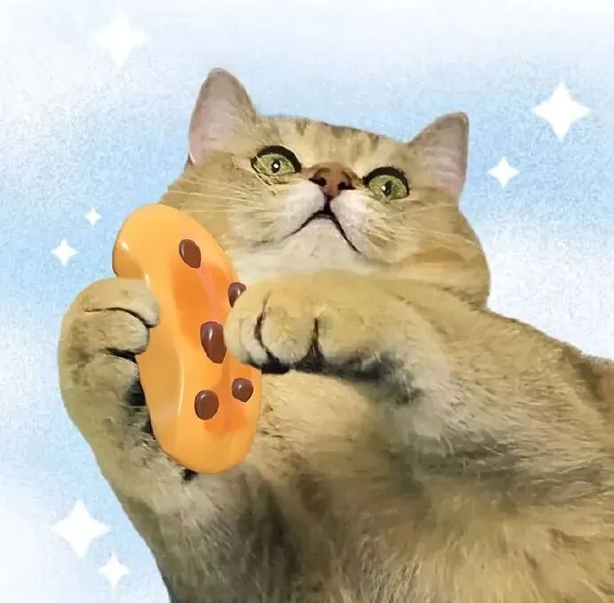萌宠 萌宠头像 宠物  猫