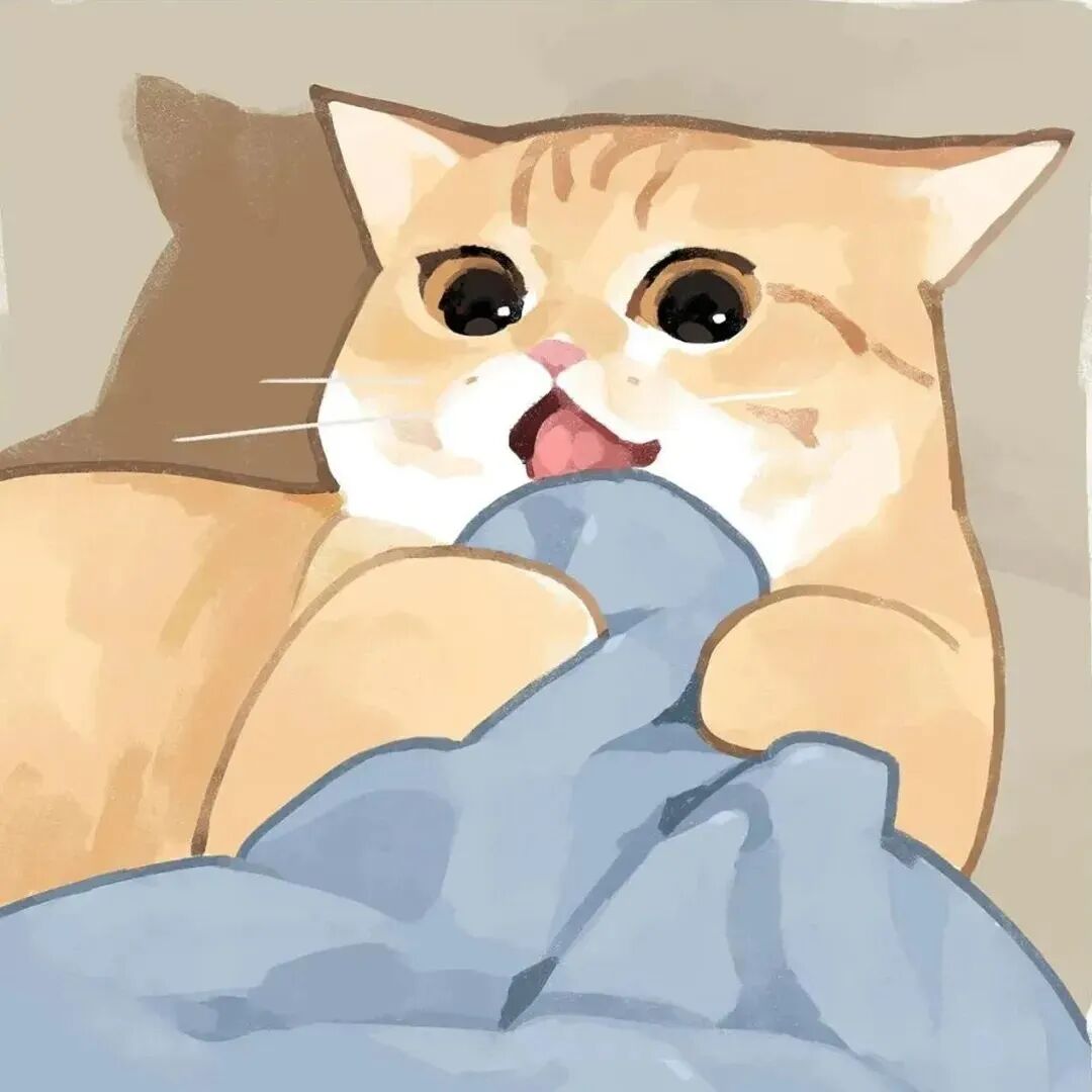 萌宠 萌宠头像 宠物  猫 可爱头像