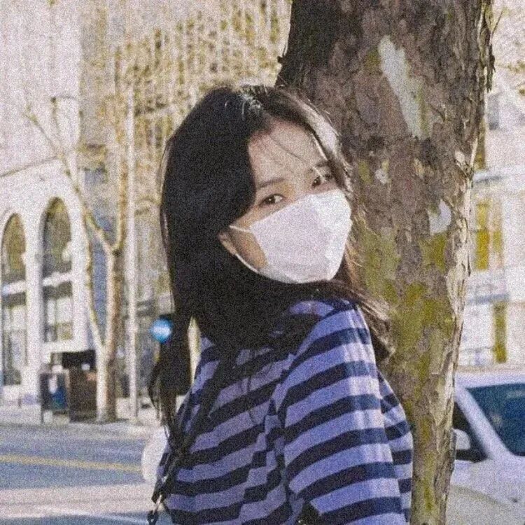 jisoo 金智秀 jisoo头像 金智秀头像 女生 女生头像 女头