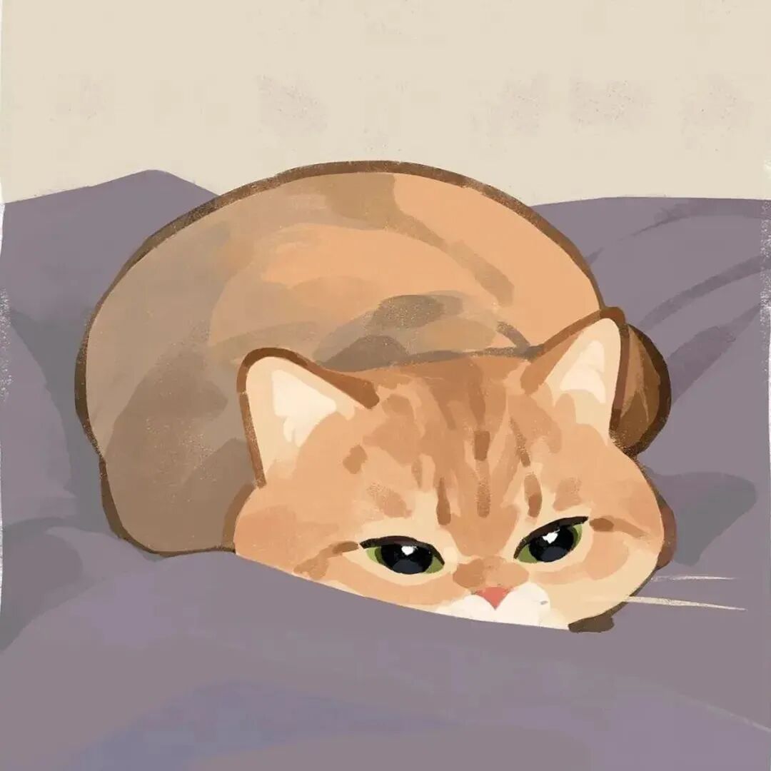 萌宠 萌宠头像 宠物  猫 可爱头像