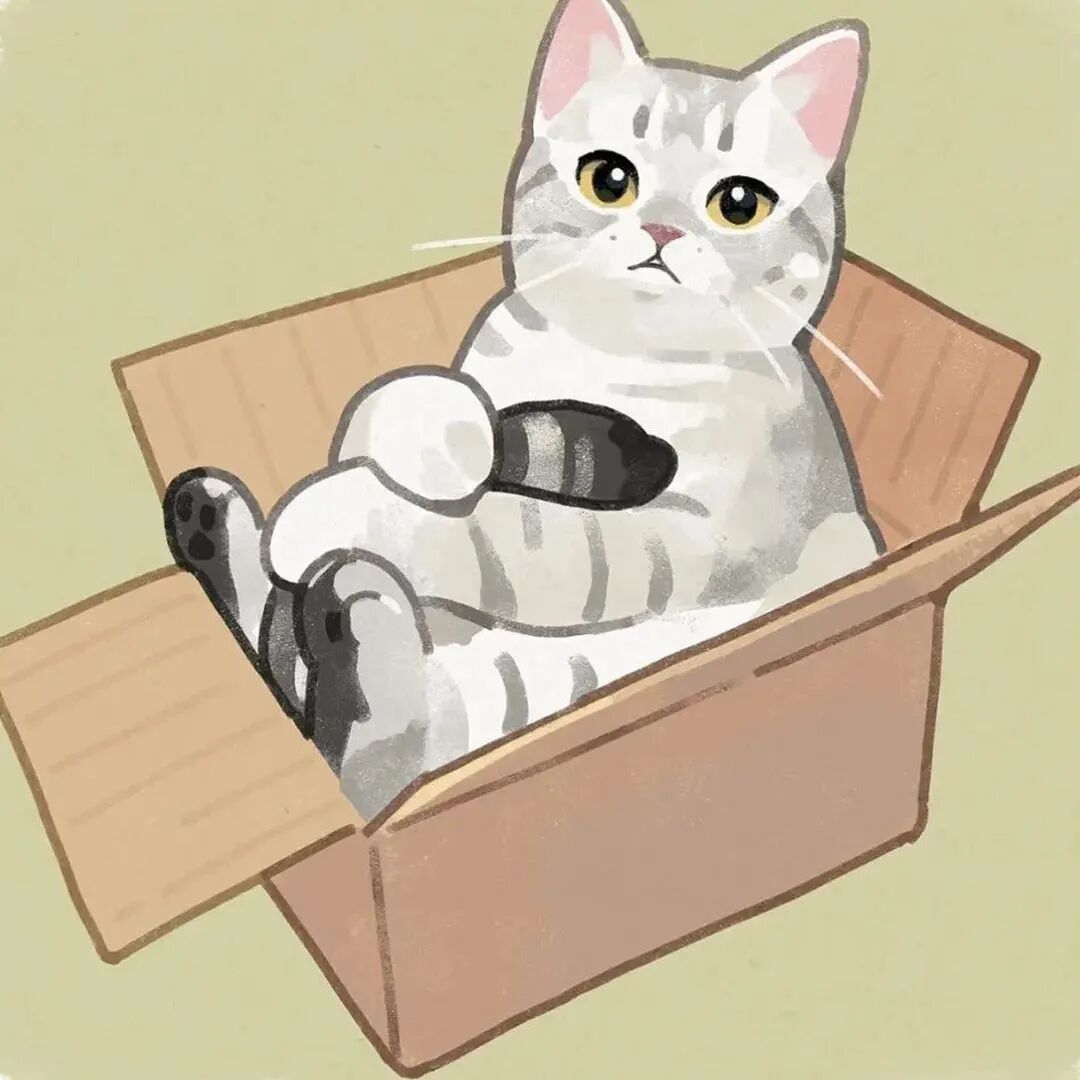 萌宠 萌宠头像 宠物  猫 可爱头像