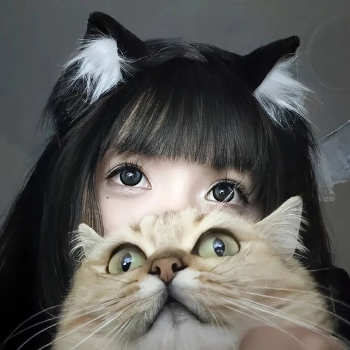 抱着猫咪少萝女生头像