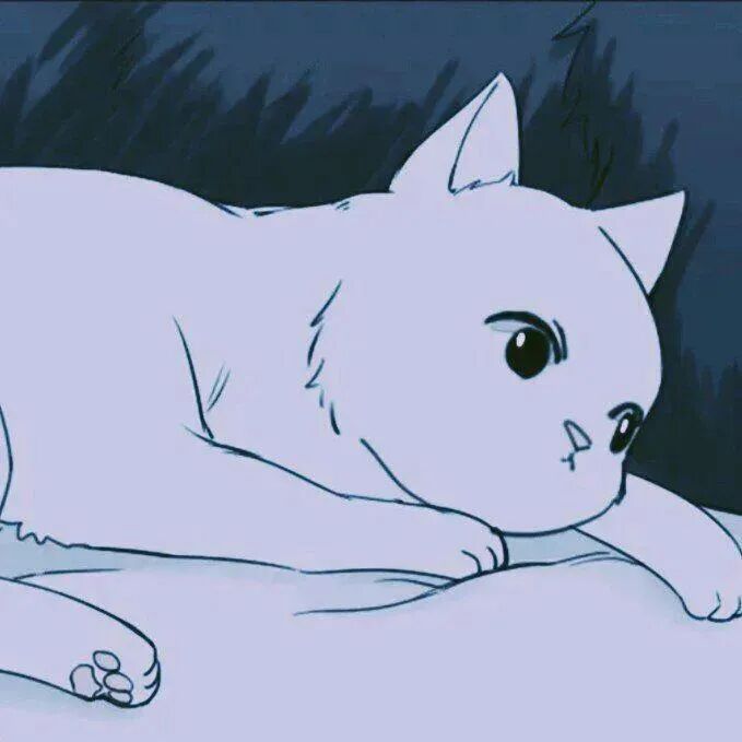 maogoubaohuxinsan猫狗动漫情侣头像