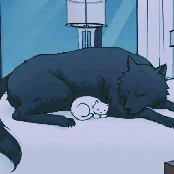 maogoubaohuxinsan猫狗动漫情侣头像