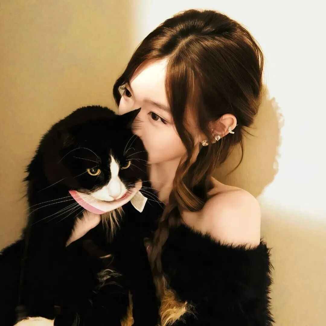 抱着猫咪小众女生头像