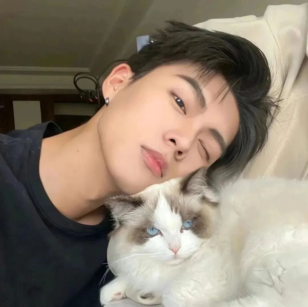 抱着猫咪小众男生头像