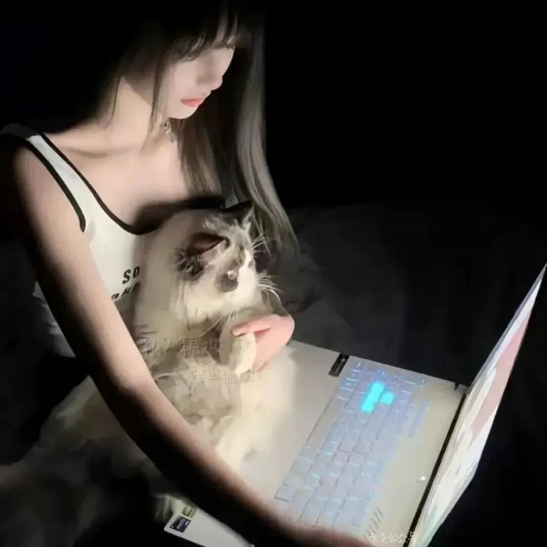 bmsqwrtlaopo不明显真人情侣头像