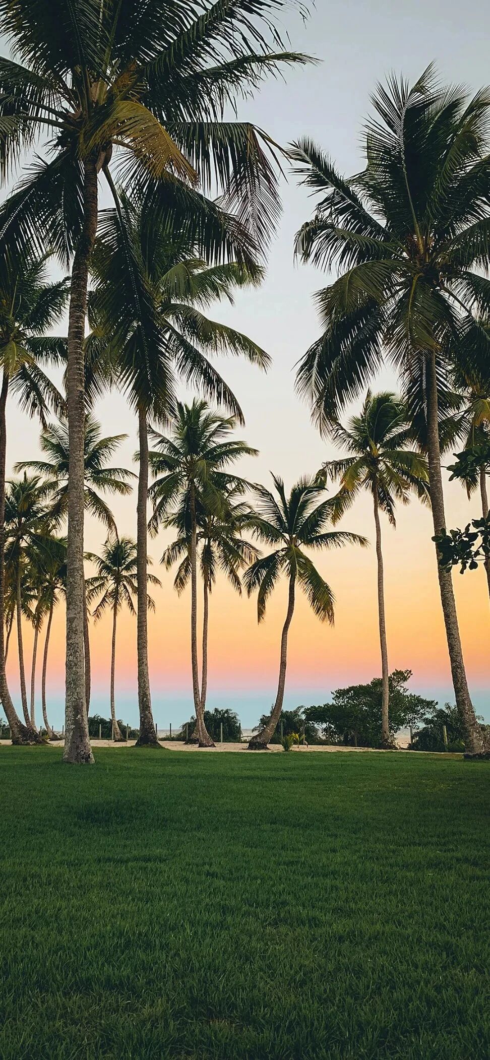 风景