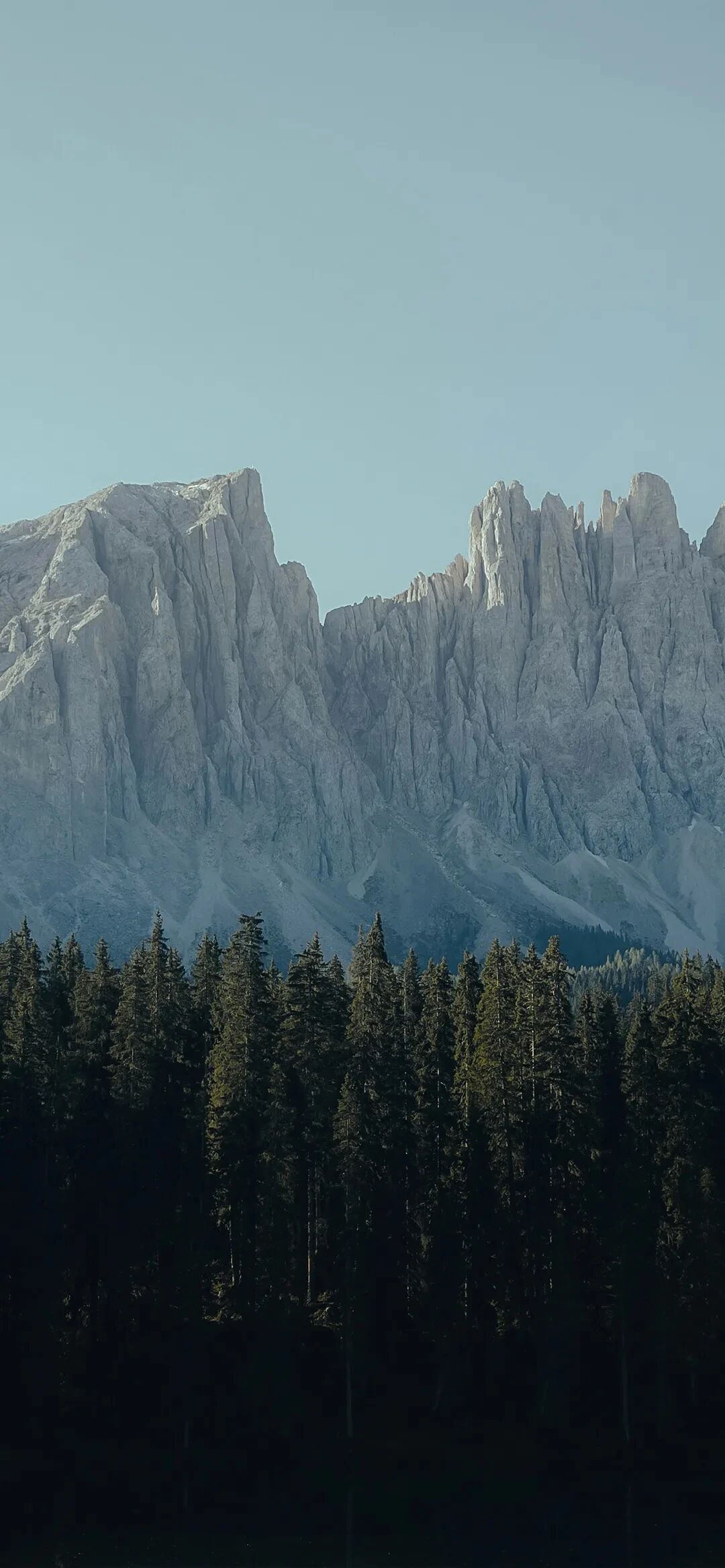 风景
