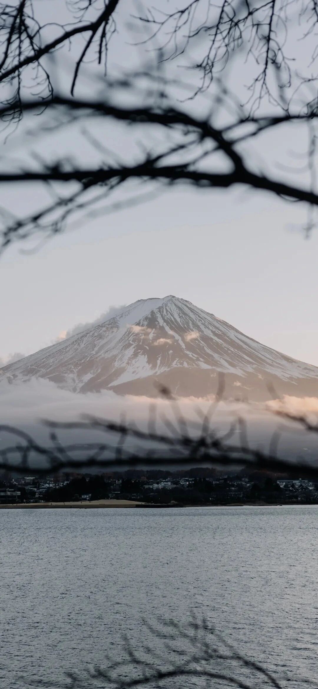 风景
