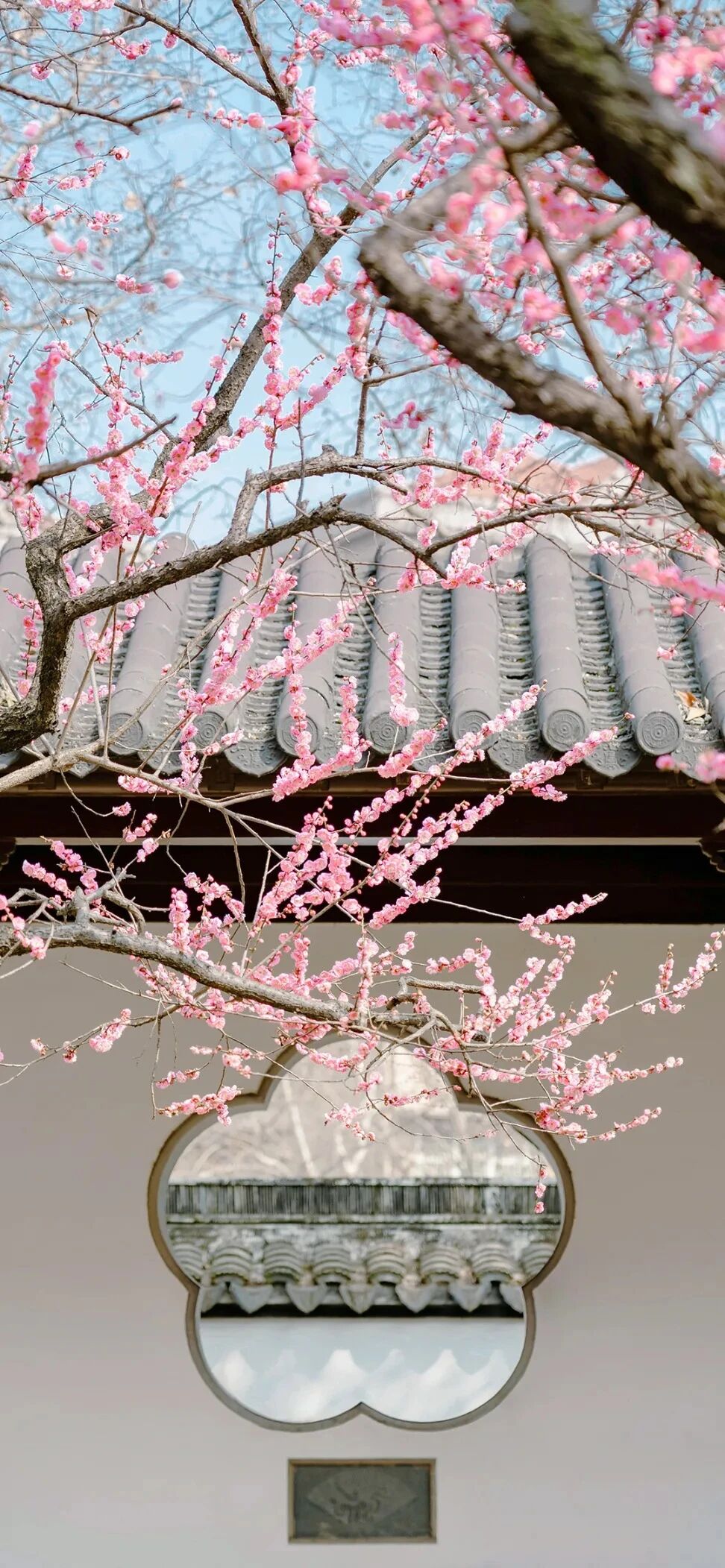 风景