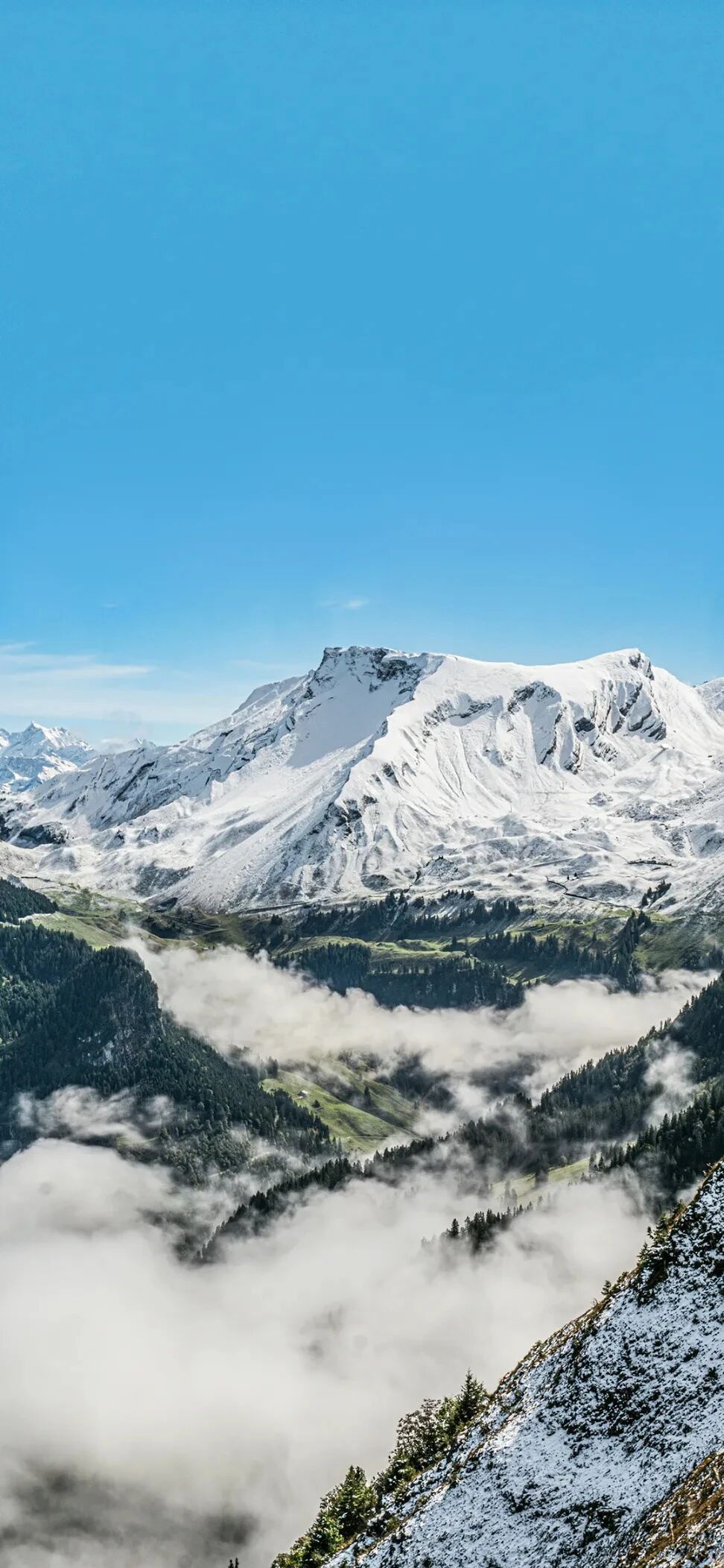 风景