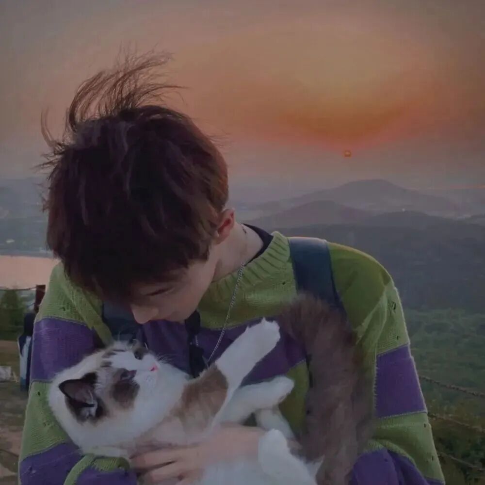 抱着猫咪小众男生头像