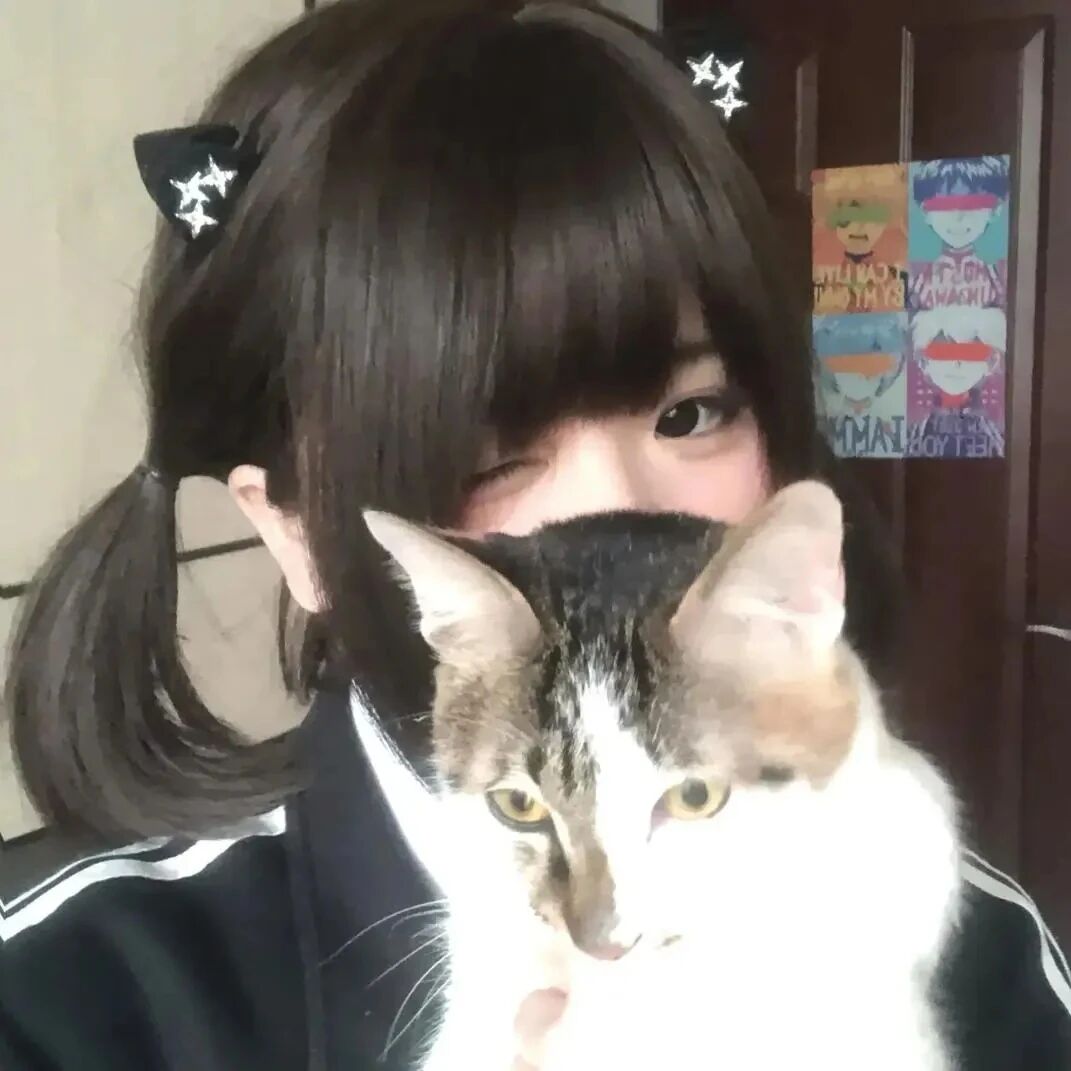 抱着猫咪少萝女生头像
