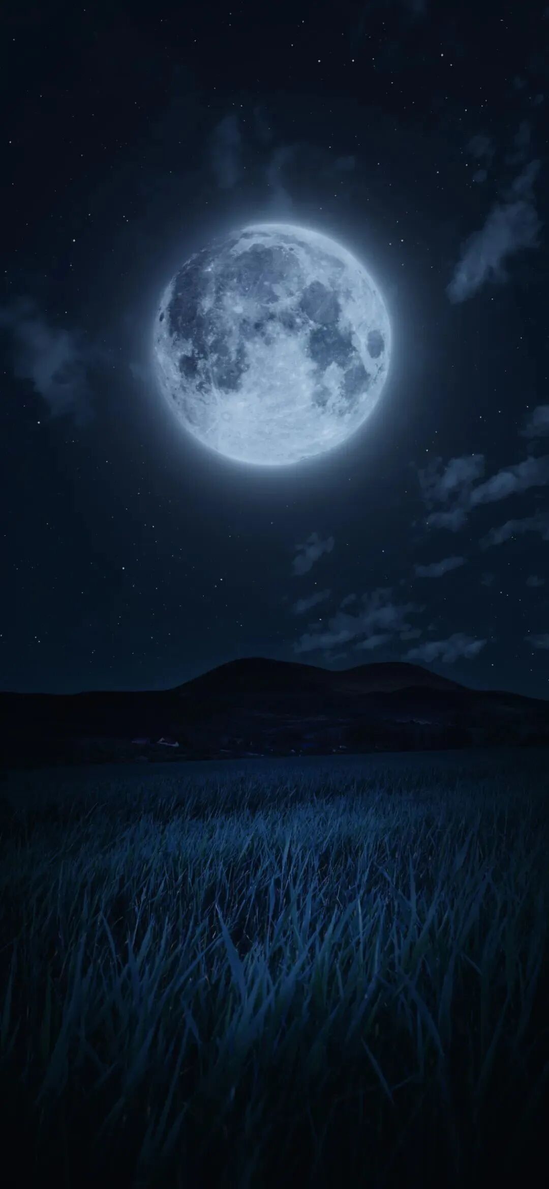 风景