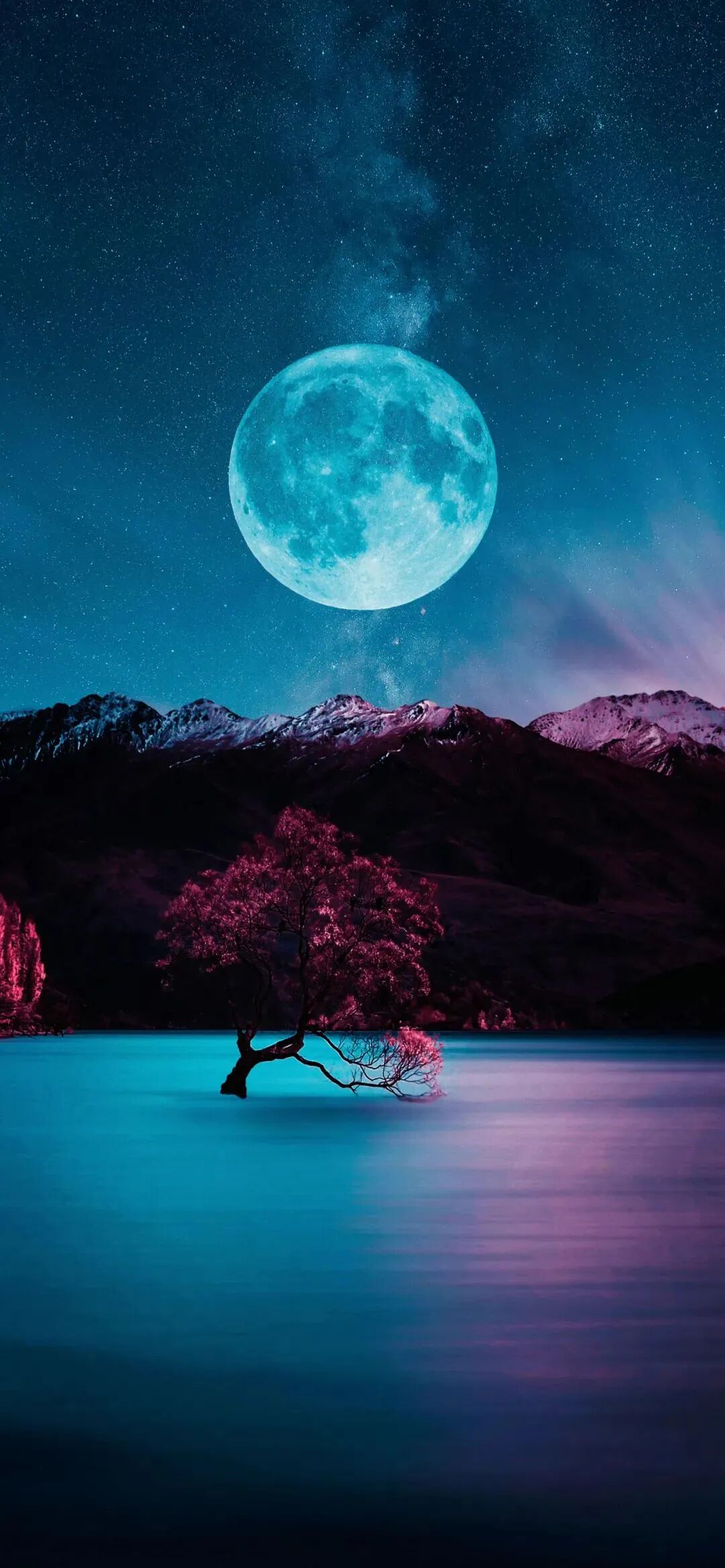 风景