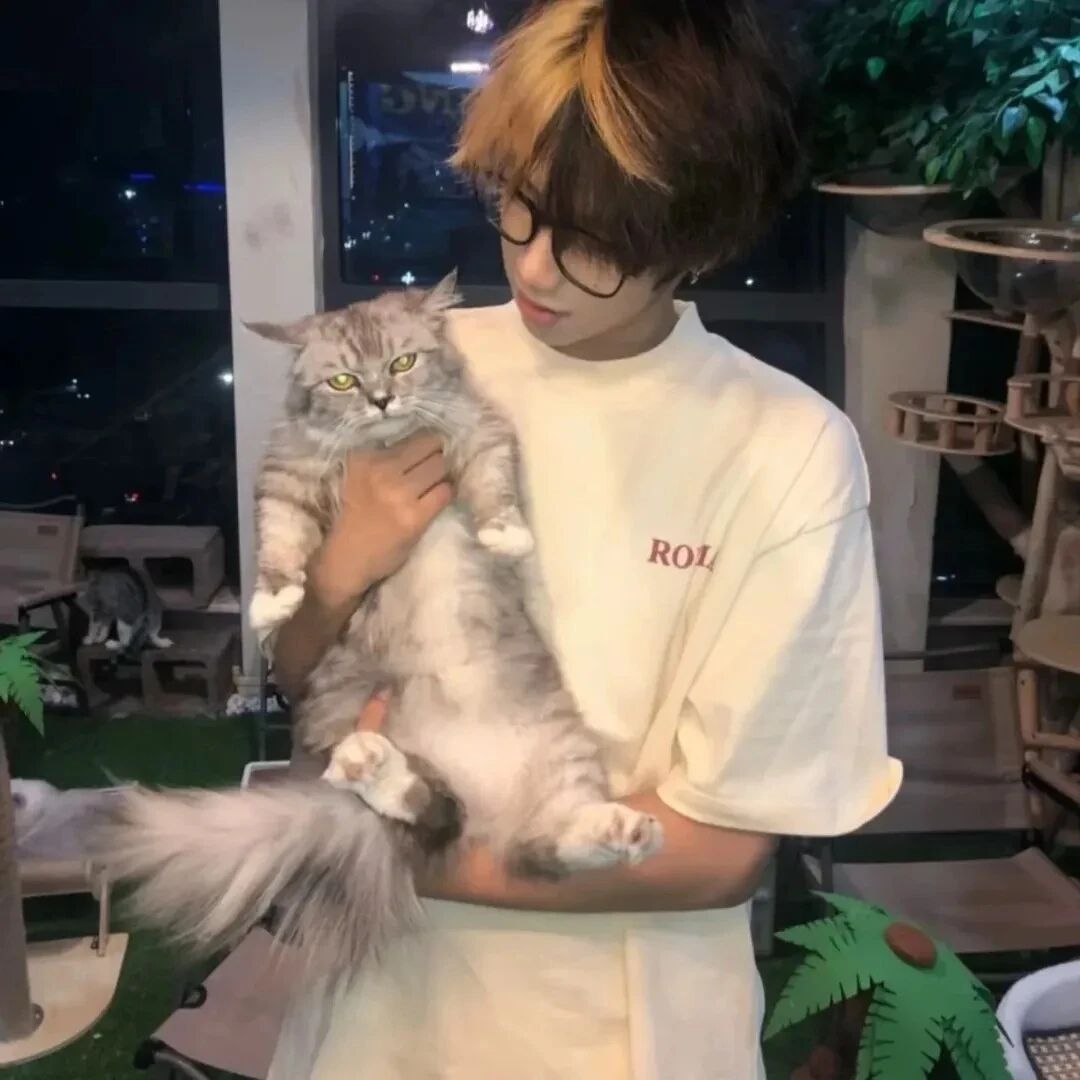 抱着猫咪个性男生头像