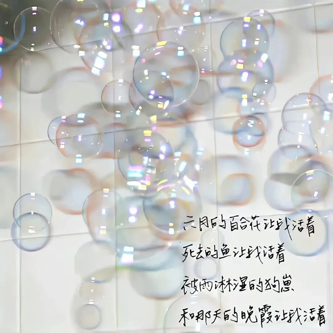 文字朋友圈背景图