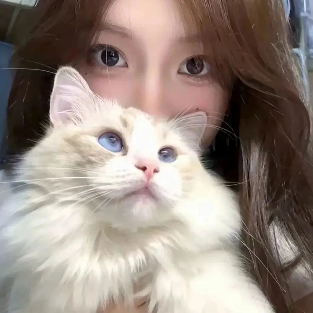 抱着猫咪甜妹女生头像