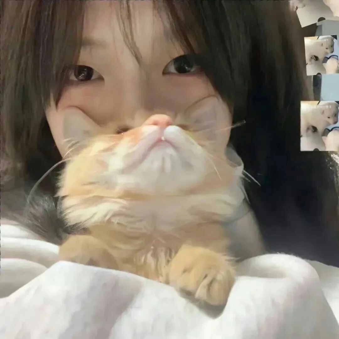 抱着猫咪甜妹女生头像