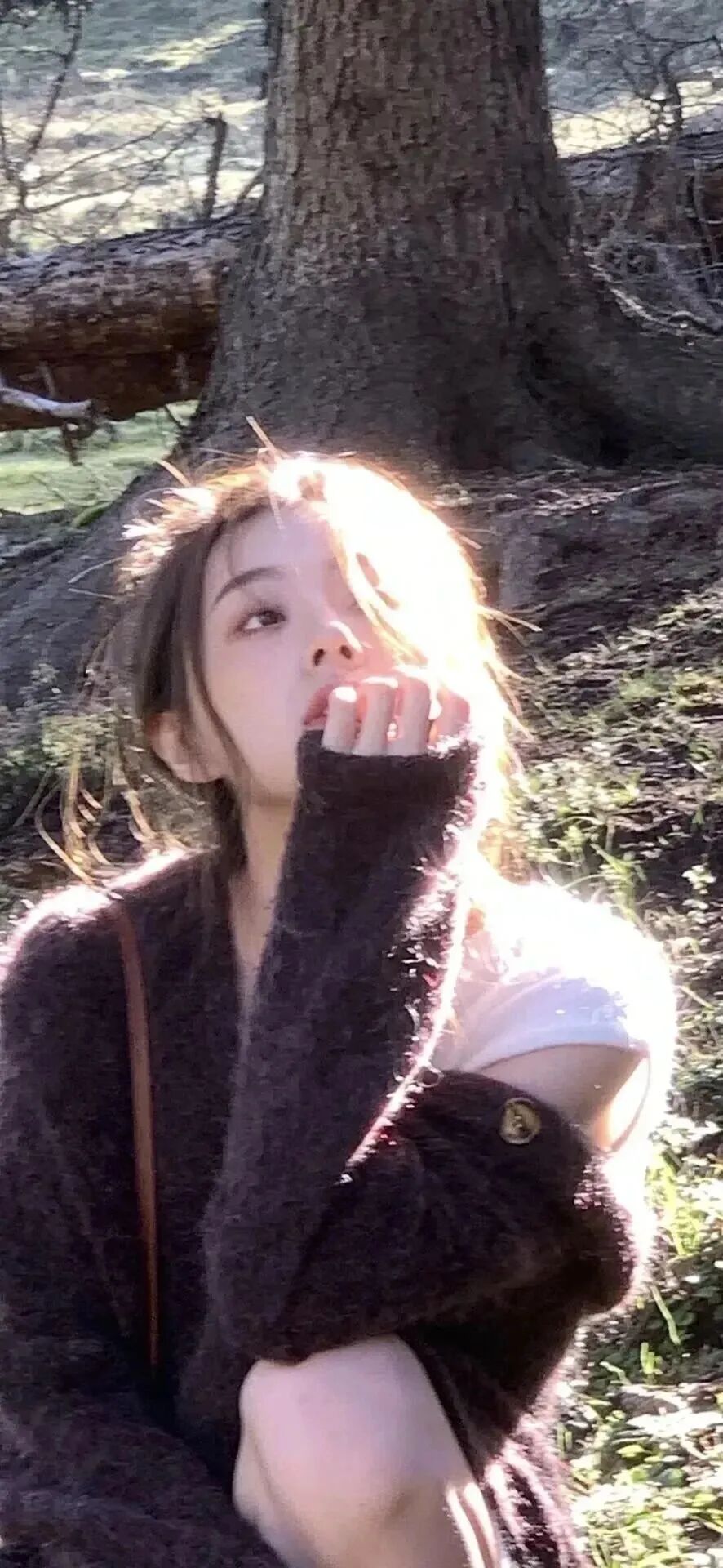 抖音热门
