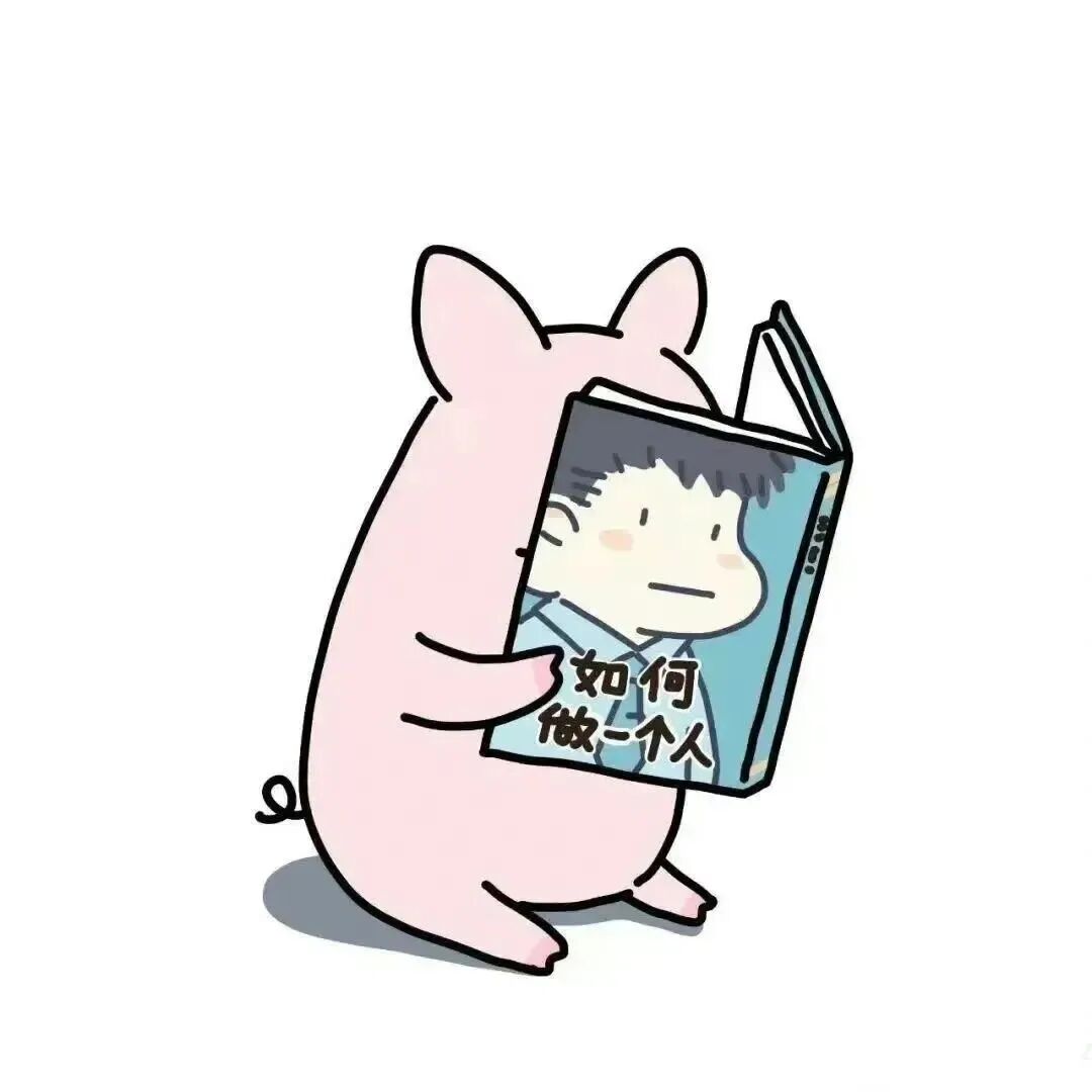 沙雕搞怪猪猪文字卡通头像