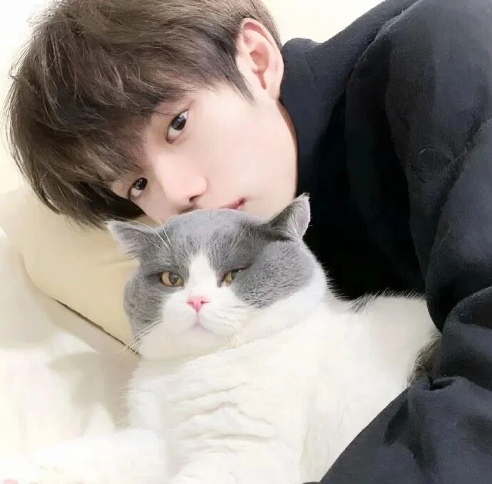 抱着猫咪小众男生头像