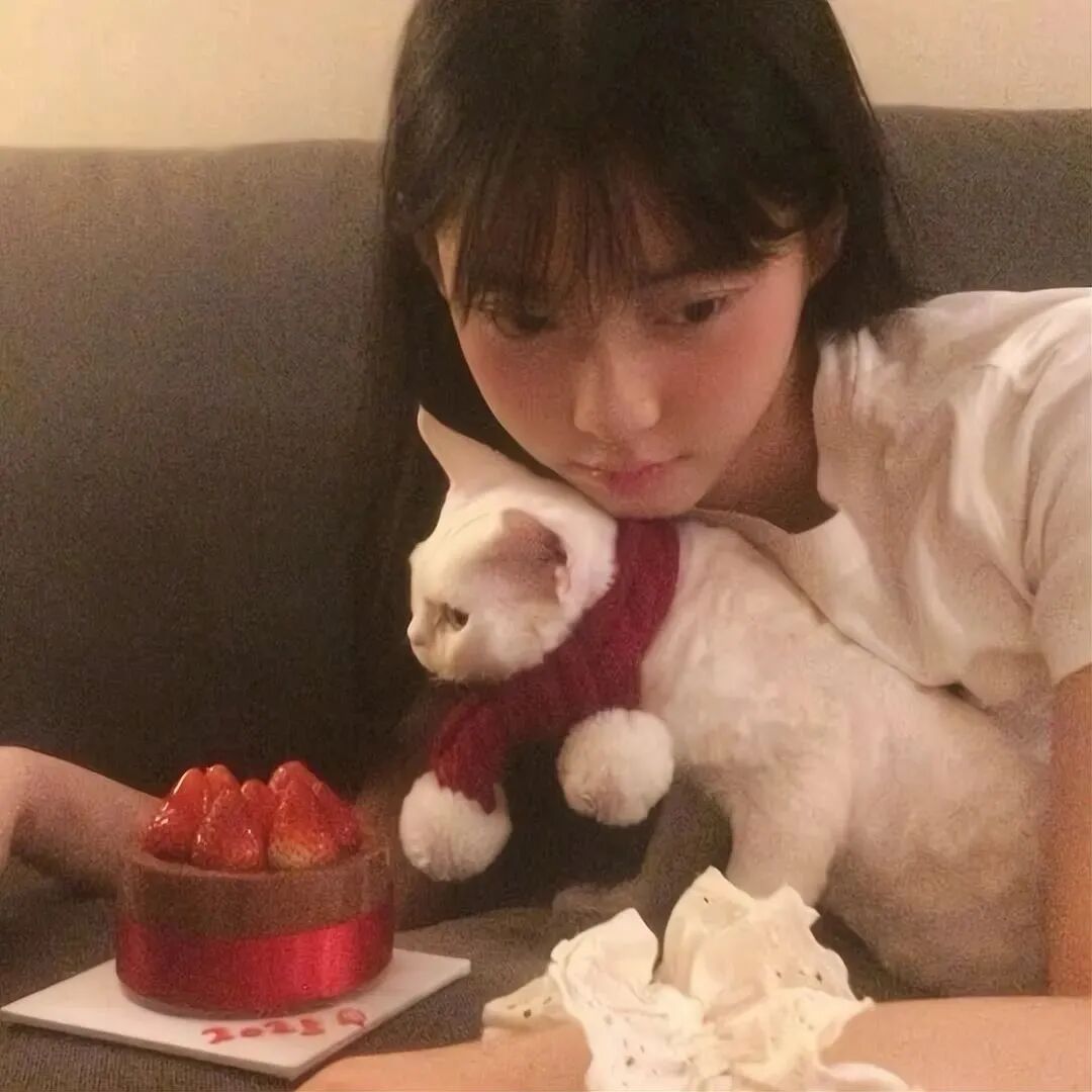 生日快乐抱着猫咪少萝女生头像