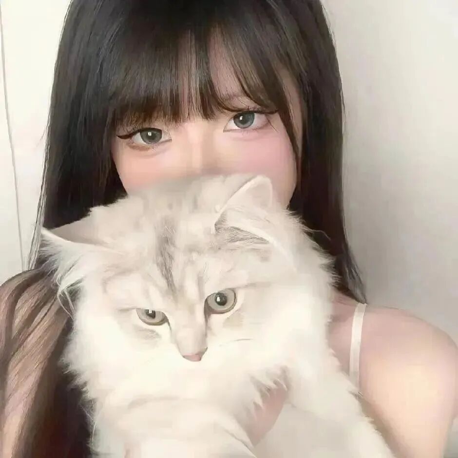 danbzcatmaowanfaxiao抱着猫咪单人真人情侣头像