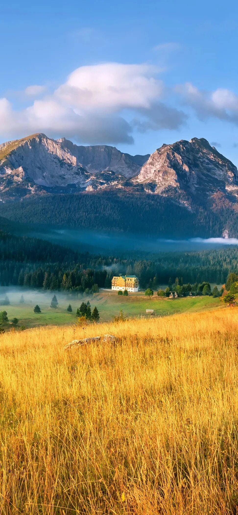 风景